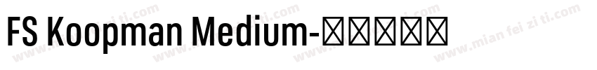 FS Koopman Medium字体转换